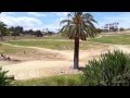 San Diego Zoo Safari Park Tour Of Antelope Herd