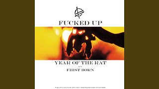 Year of the Rat
