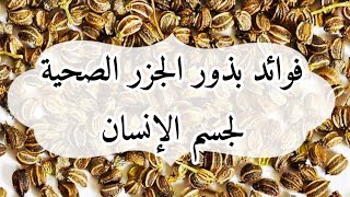 فوائد بذور الجزر للجنس - أفضل الإباحية xxx الفيديو