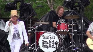 Cheap Trick - Magical Mystery Tour (Wanee 2015)