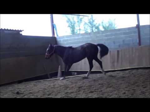 Eyton de Liam 09 02 2016