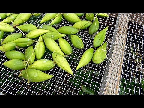 Behold His Mighty Hand!