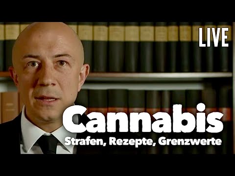 Rezept für alle, Grenzwert und erste Strafen nach KCanG - Alle Antworten live
