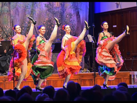 Die große Johann Strauss Gala - Eine Wiener Operetten Revue