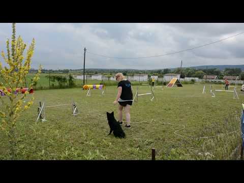 Topi Agility Futam Pomaz Retro Party 20190623