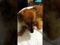 Prissy Feeling Sad