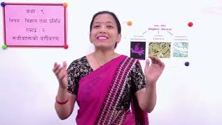 Classification of Living Beings - Part 3