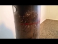 Dyson Cinetic Big Ball Animal Allergy Results