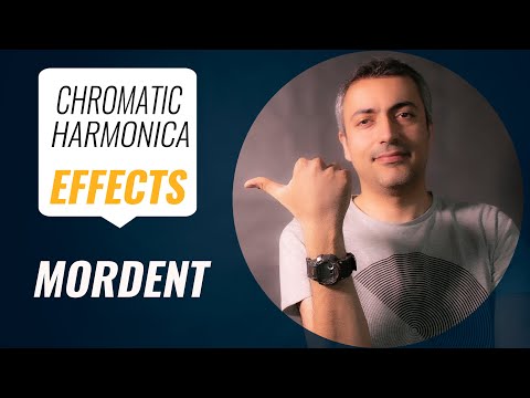 Harmonica FX Club 6 - Chromatic Harmonica "Mordent" Effect - Elias Dejahang