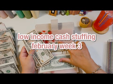 low income cash stuffing for february week 3! sinking funds & savings challenges