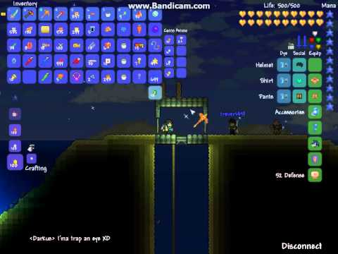 Terraria Bird Engine Steam Community :: Video :: Terraria - Bird is the Word