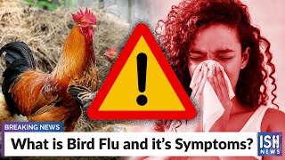 What is Bird Flu and it’s Symptoms?