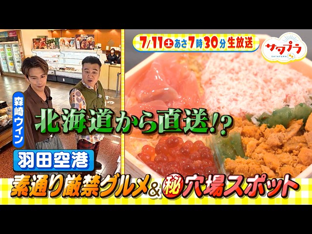 サタプラ🈑ひんやりグッズ比較★羽田空港の素通り厳禁グルメ★とうもろこし絶品レシピ