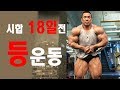 IFBBPRO김현진선수-대회18일전 어깨 운동