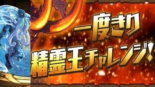 [단 한번의 정령왕 챌린지 2] 코마상 S pt.