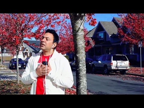 DIL NAHEEN LAGDA - OFFICIAL VIDEO - MANMOHAN WARIS