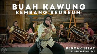 Download lagu Buah Kawung naek Kembang Beureum - Pencak Silat - Puspa Karima (LIVE) mp3