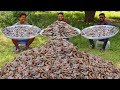 Traditional Prawns Biryani Recipe Easy Shrimp Biryani Grandpa Kitchen