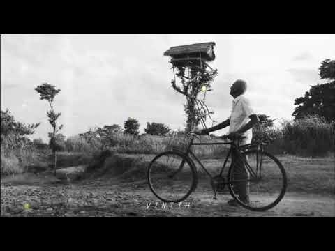 ZD8 charitha Attalage | kasun Edirisinghe