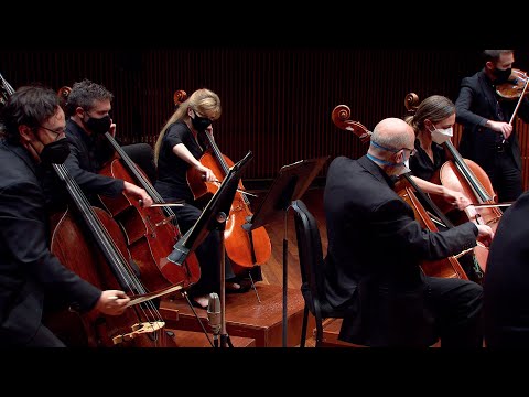 Serenade for Strings | Pyotr Ilyich Tchaikovsky | Performance Excerpts