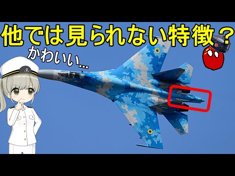 ロシア騎士団哨戒のSU-27
