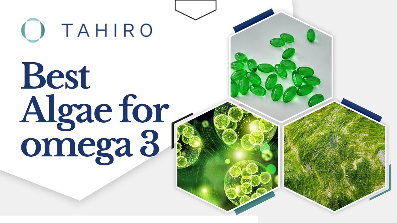Tahiro Unveils: The Superior Algae for Omega-3, Backed by Experts