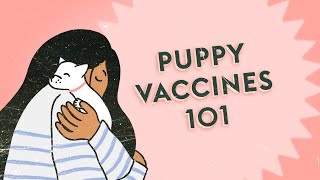 What's the Deal with Puppy Vaccines · Vet Tips