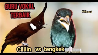 Download lagu GURU VOKAL TERBAIK  cililin vs tengkek buto ( berjedah) mp3