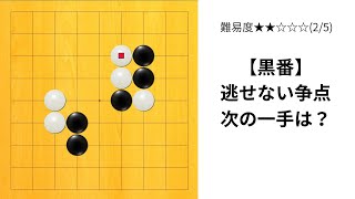 【9路】囲碁クエスト七段の実況｜逃せない争点はどこ？