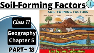 Soil-Forming Factors | Geomorphic Processes | Class 11 Geography Chapter 5 NCERT UPSC