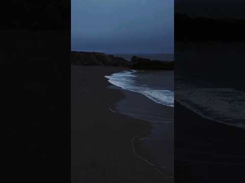 Rizwan  sau baar janam lenge sau baar fana honge