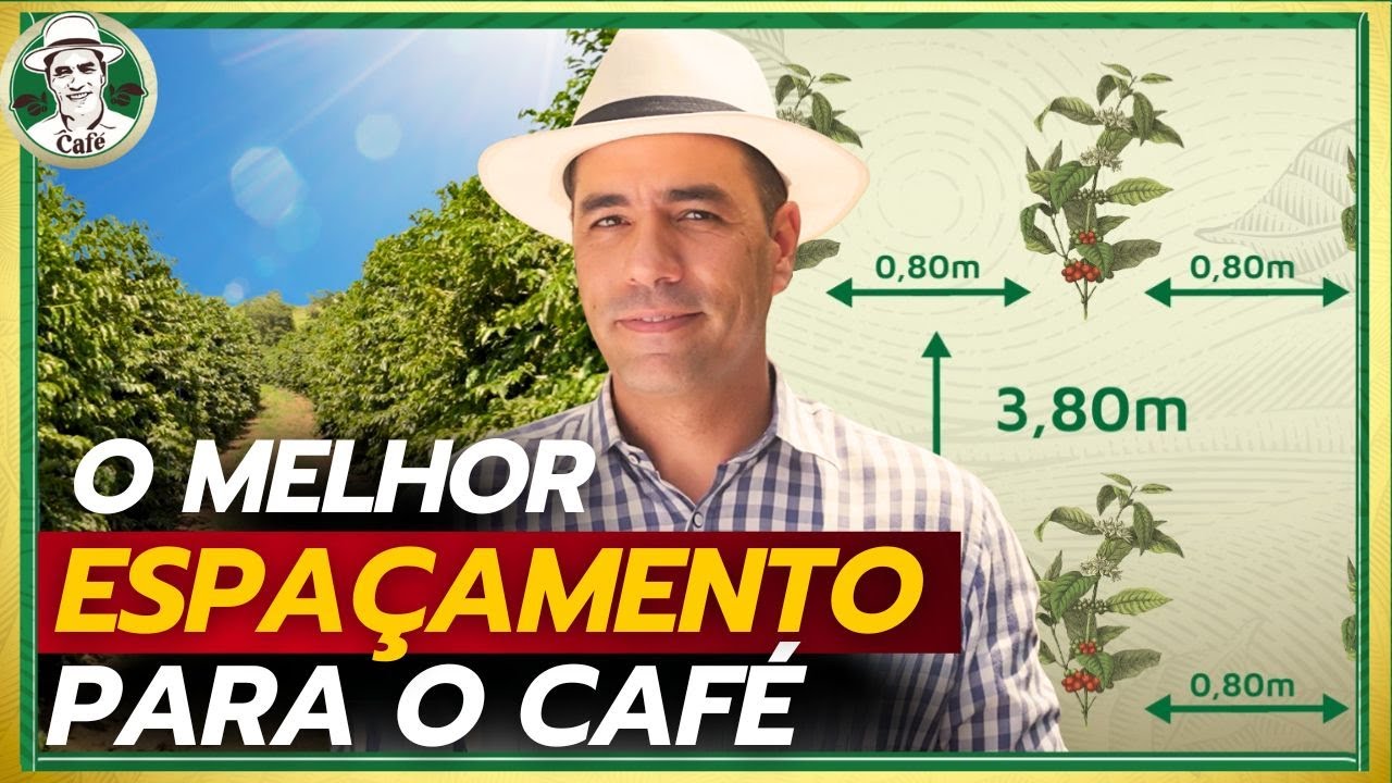 Quando a sua produtividade é definida pela quantidade de plantas por hectare.
