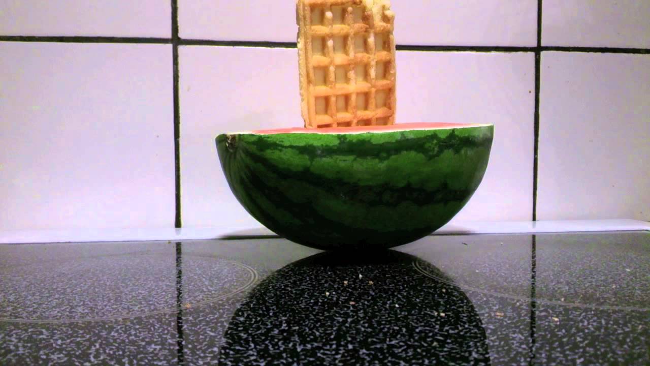 Waffle on watermelon