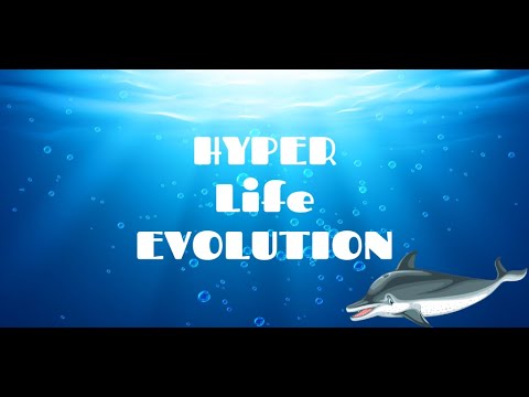 Hyper Life Evolution