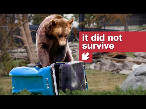 Test odolnosti popelnic proti medvědům