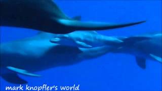 Dream of Drowned Submariner - Mark Knopfler - Privateering Album - 2012- with lyrics