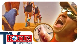 Der härteste Marathon der Welt: 240 km durch die Sahara | Focus TV Rep