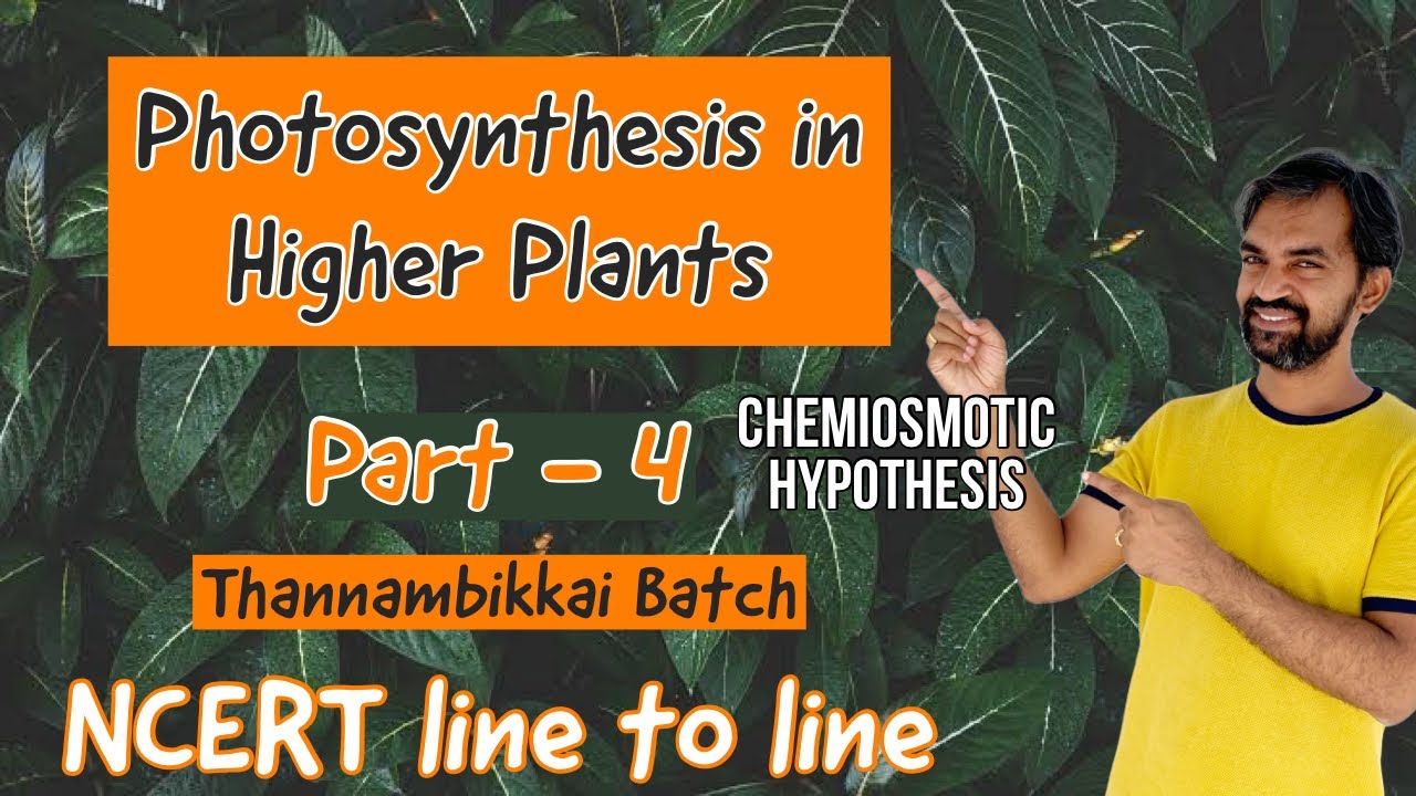 Photosynthesis in higher plants | Part 4 | Chemiosmotic hypothesis | NCERT LINE TO LINE