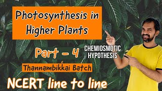Photosynthesis in higher plants | Part 4 | Chemiosmotic hypothesis | NCERT LINE TO LINE