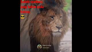 Download lagu Story Wa Rx King Viral 2022 mp3 Download lagu Story Wa Rx King Viral 2022 mp3