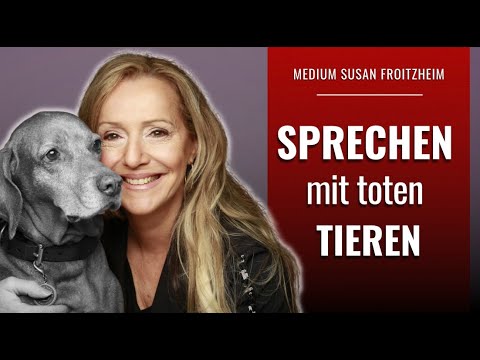 Kontakt zum verstorbenen Tier? Was muss ich tun?