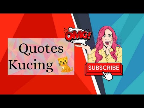 Quotes kucing