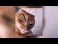 A Sped Up Tyler The Creator Playlist