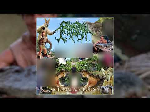 Patisserie - Victorial Austrology FULL ALBUM (2018 - Goregrind / Death Metal)