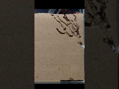 Giant Ant Farm - Houdini