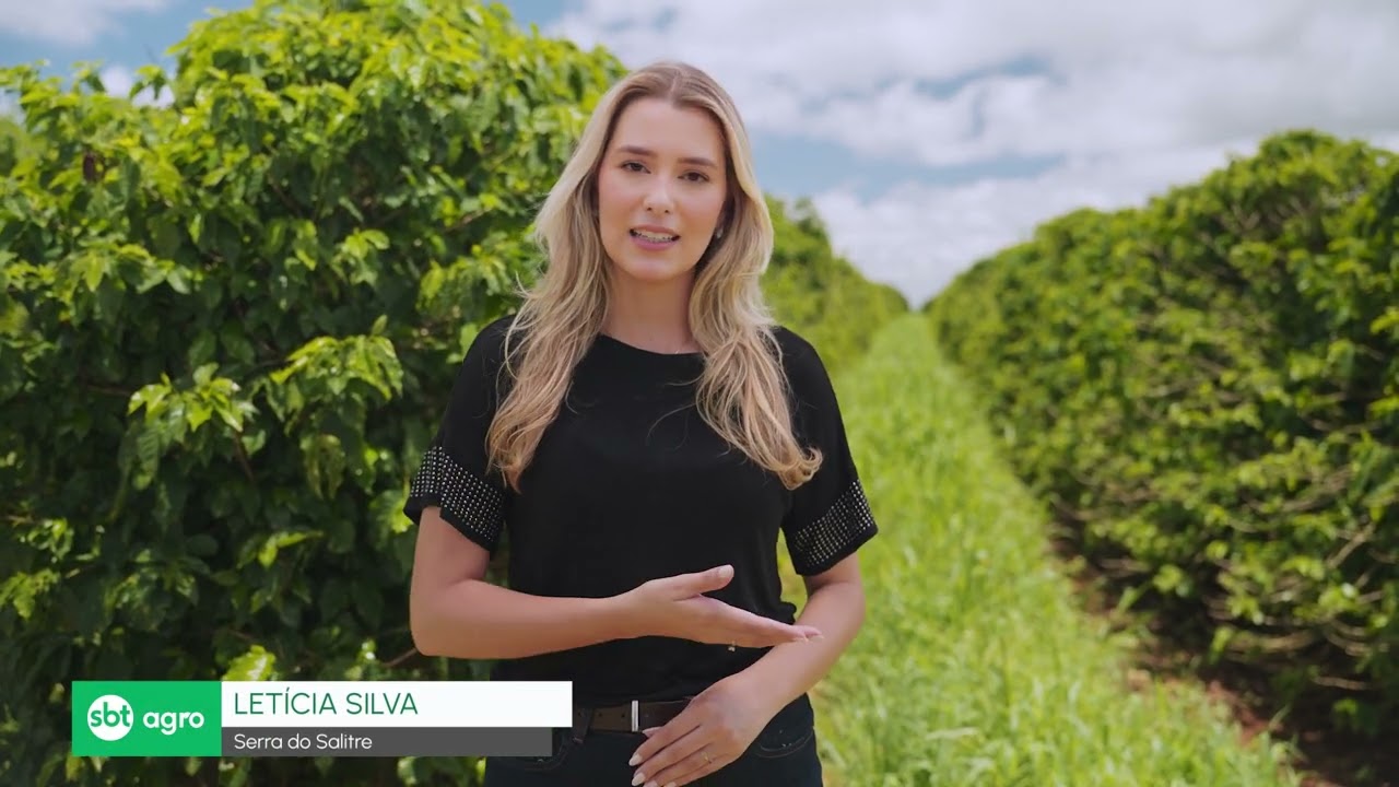 ESTIMATIVA DE CARBONO NO SOLO: Estudo mostra impacto das práticas regenerativas na qualidade do solo