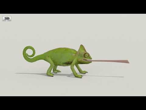 Chameleon Low Poly 3D model by 3DModels.org