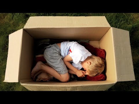 download lagu mp3 mp4 Adventures Of A Cardboard Box, download lagu Adventures Of A Cardboard Box gratis, unduh video klip Adventures Of A Cardboard Box