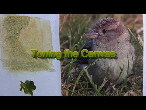 Schnelltipp 196 – Tonung der Leinwand