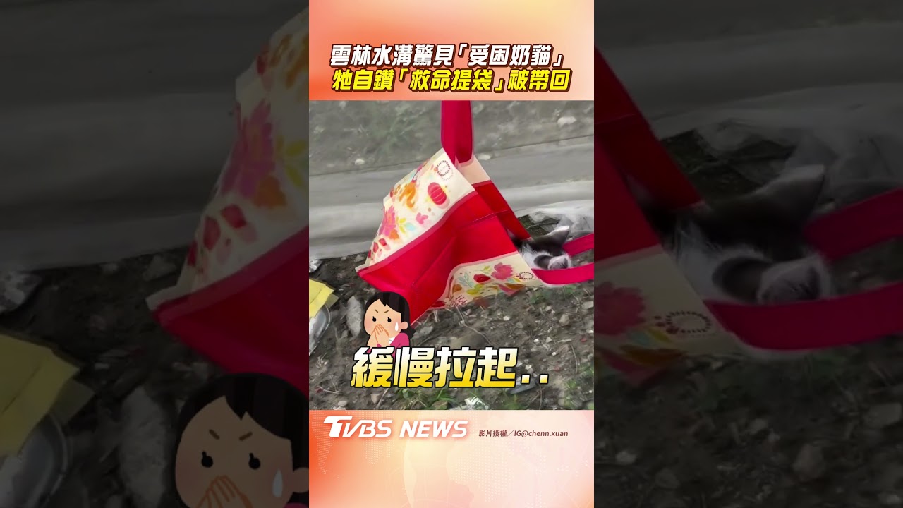 影音/雲林水溝驚見「受困小奶貓」 自鑽「救命提袋」成功被帶回